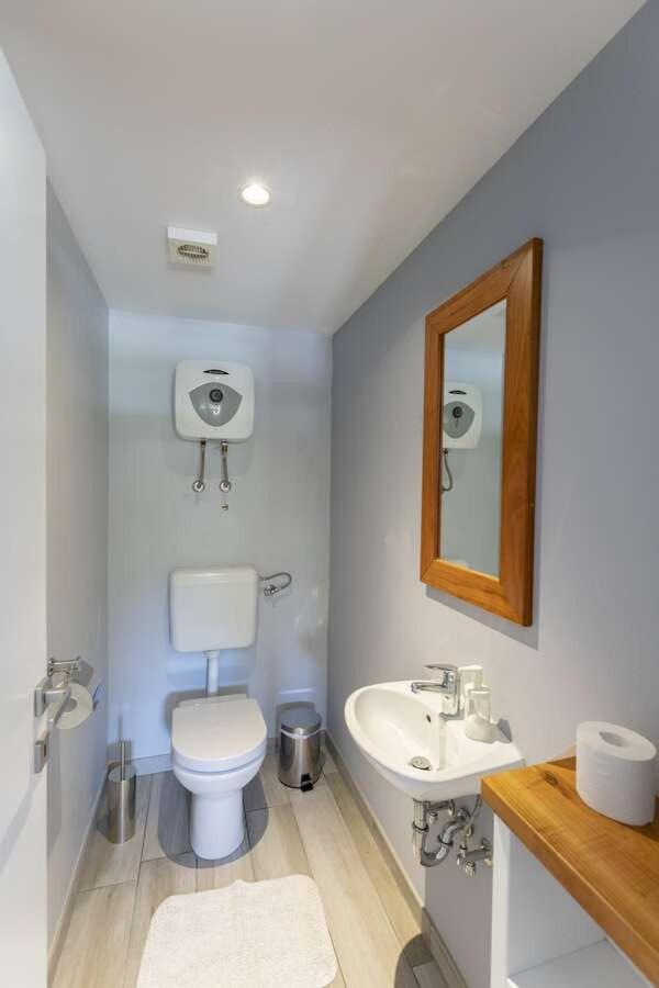 Villa Viscum In Central Istria For 8 Persons With Large Garden - Pet Friendly パジン エクステリア 写真