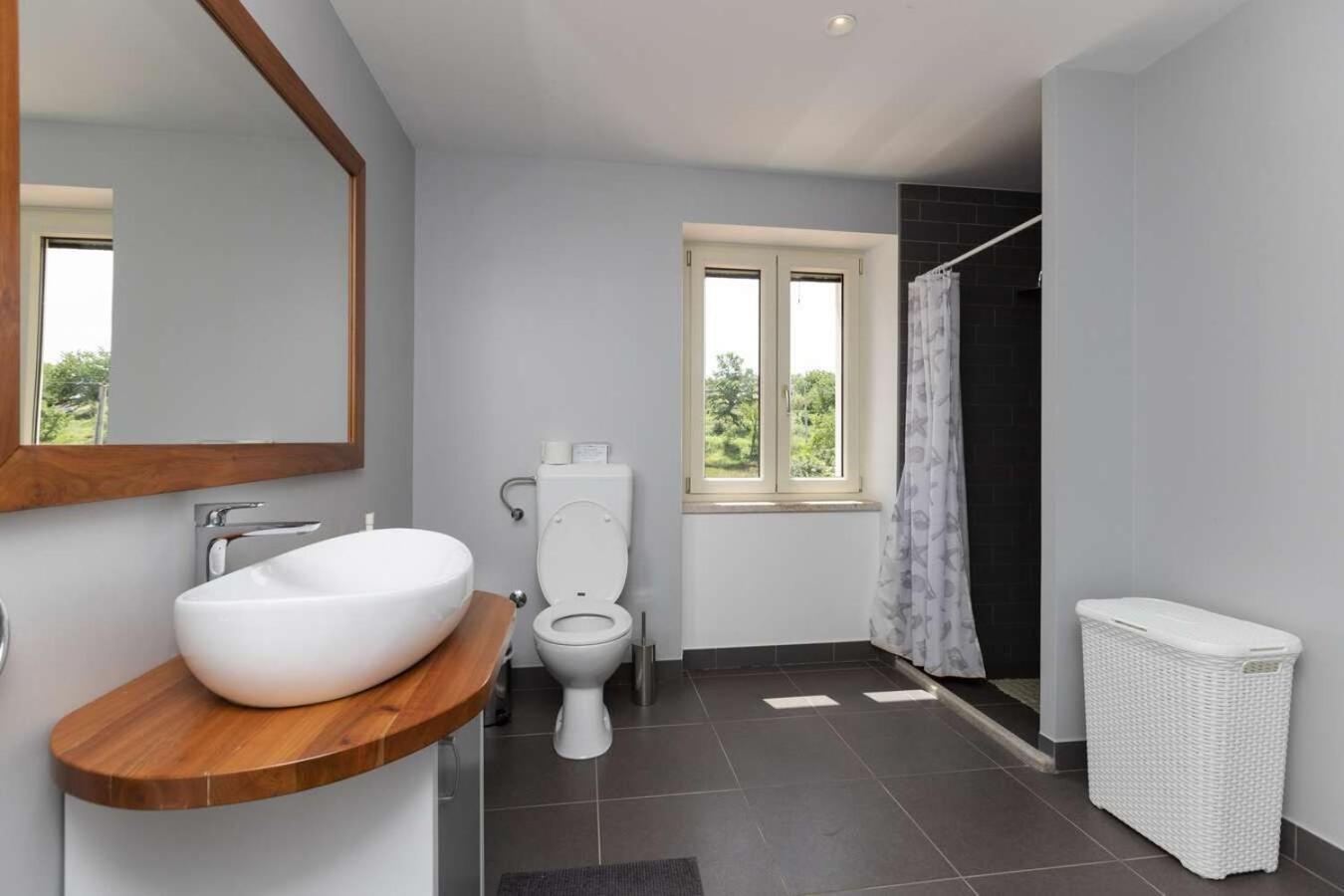 Villa Viscum In Central Istria For 8 Persons With Large Garden - Pet Friendly パジン エクステリア 写真