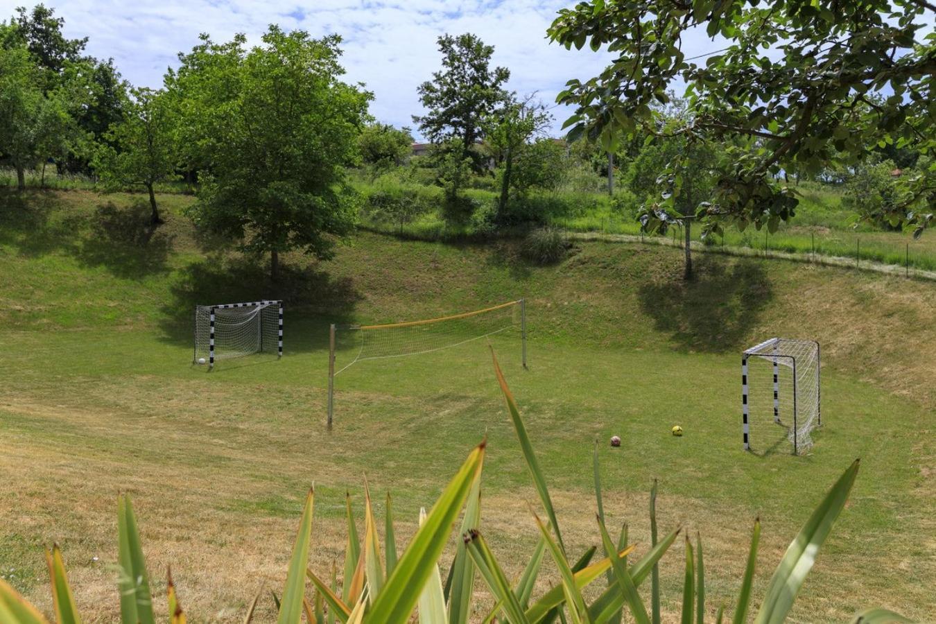 Villa Viscum In Central Istria For 8 Persons With Large Garden - Pet Friendly パジン エクステリア 写真